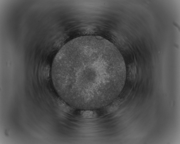 X0000092330230200710121540