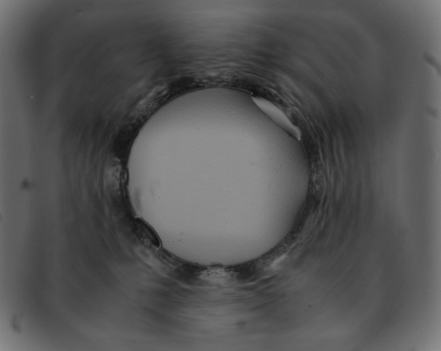 X0000092330231200710121540