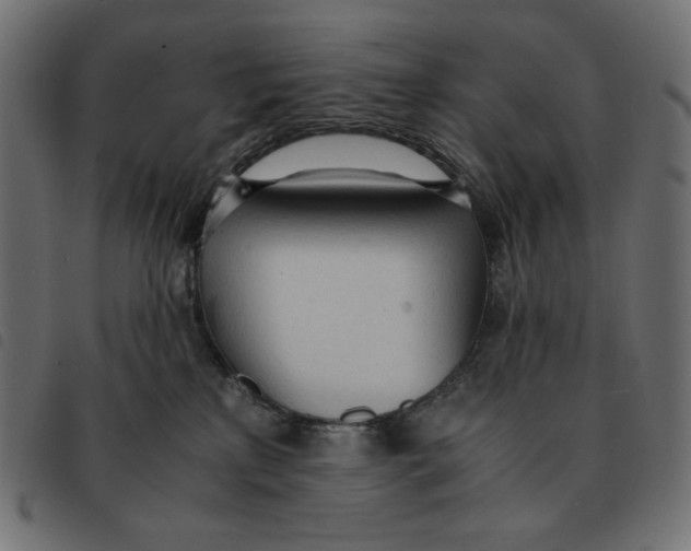 X0000092330233200710121540