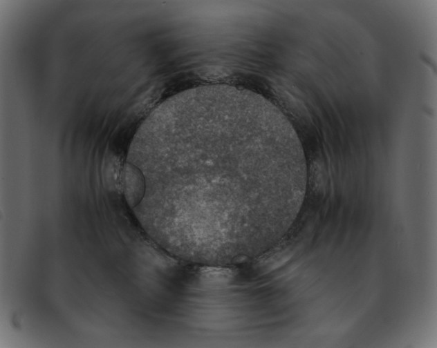 X0000092330234200710121540