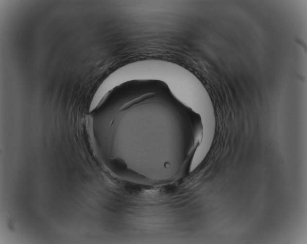 X0000092330235200710121540