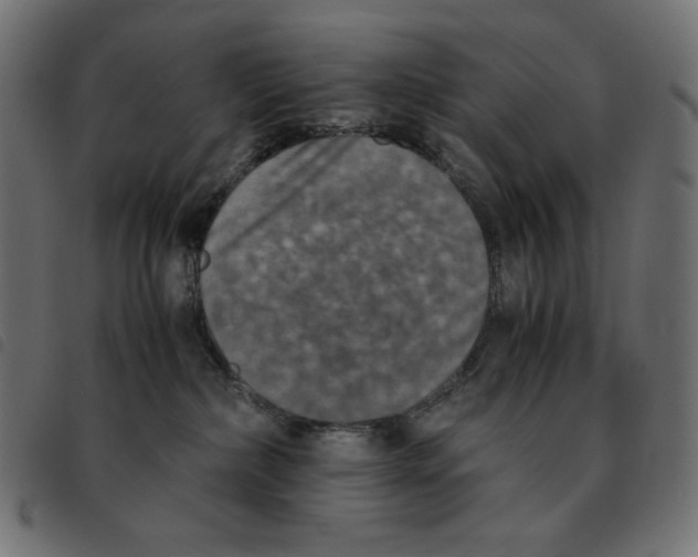 X0000092330236200710121540