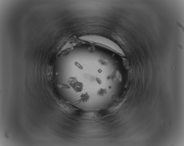 X0000092330237200710121540