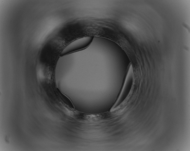 X0000092330239200710121540