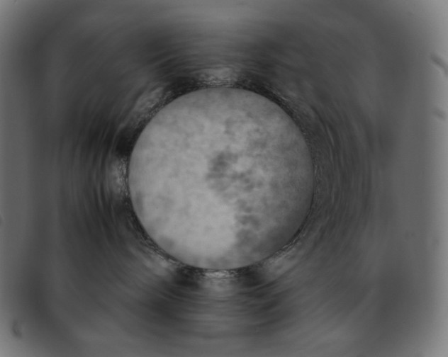 X0000092330240200710121540