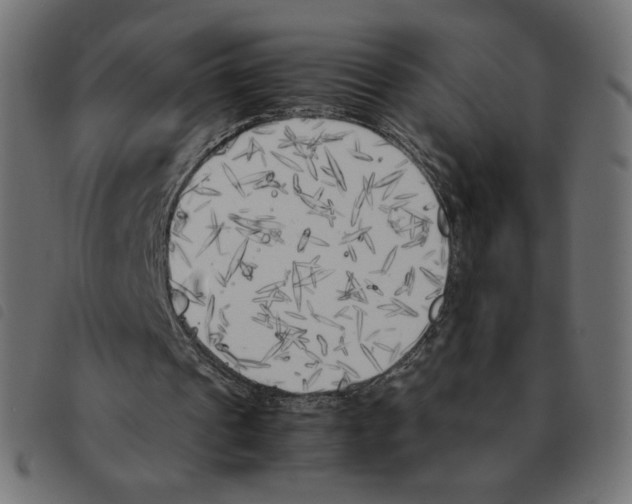X0000092330241200710121540