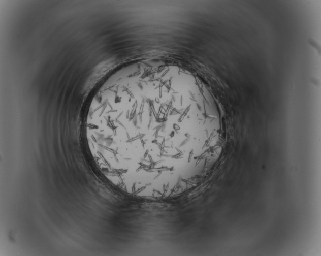X0000092330242200710121540