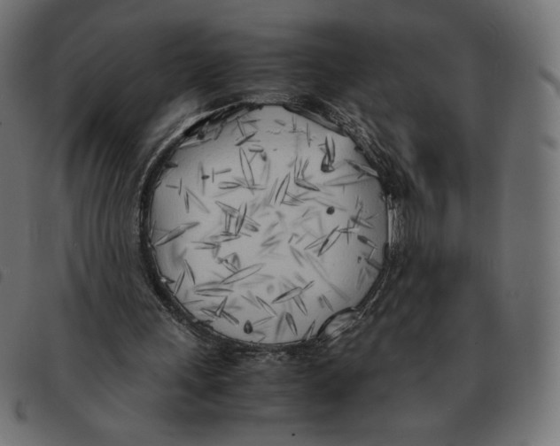 X0000092330243200710121540