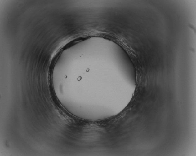 X0000092330244200710121540
