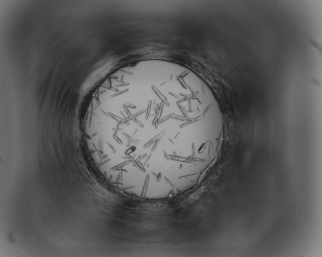 X0000092330245200710121540