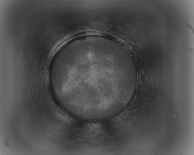X0000092330247200710121540