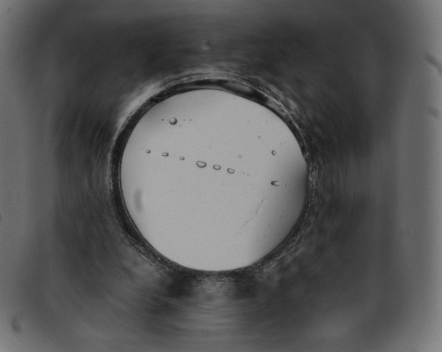 X0000092330248200710121540