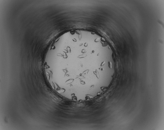 X0000092330249200710121540