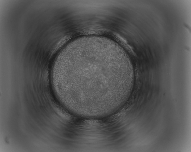 X0000092330250200710121540