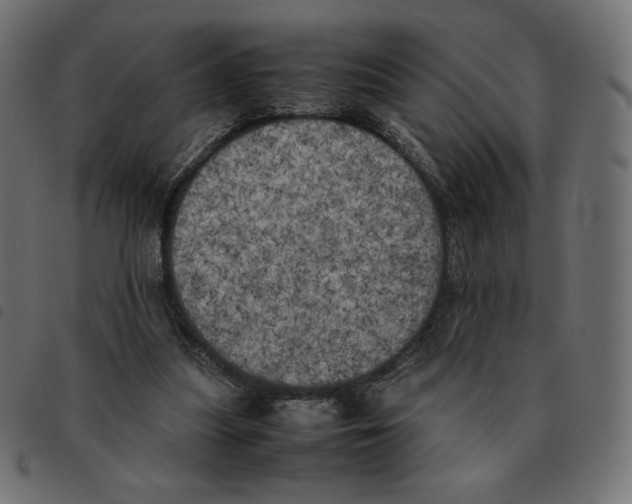 X0000092330251200710121540