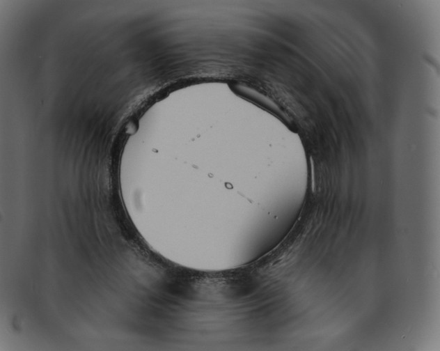 X0000092330252200710121540
