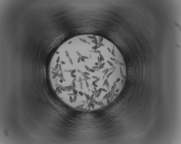 X0000092330254200710121540