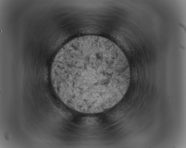 X0000092330255200710121540