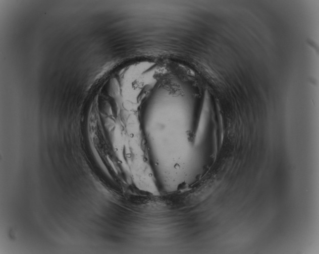 X0000092330256200710121540