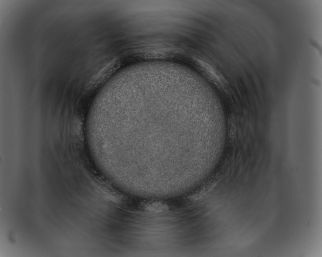 X0000092330258200710121540