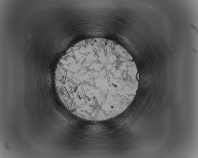X0000092330259200710121540