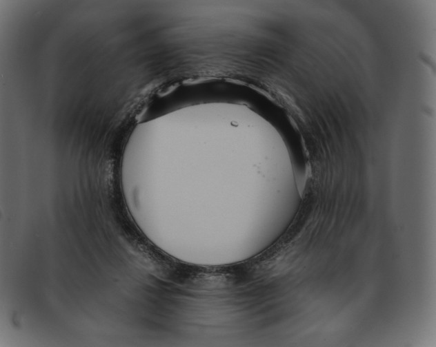 X0000092330260200710121540