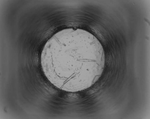 X0000092330261200710121540