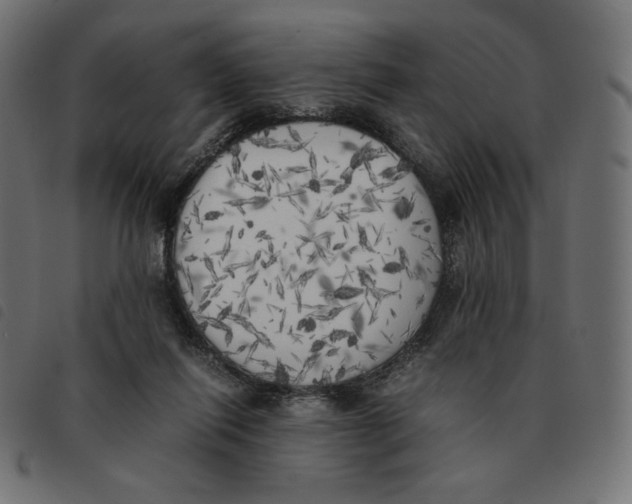 X0000092330262200710121540