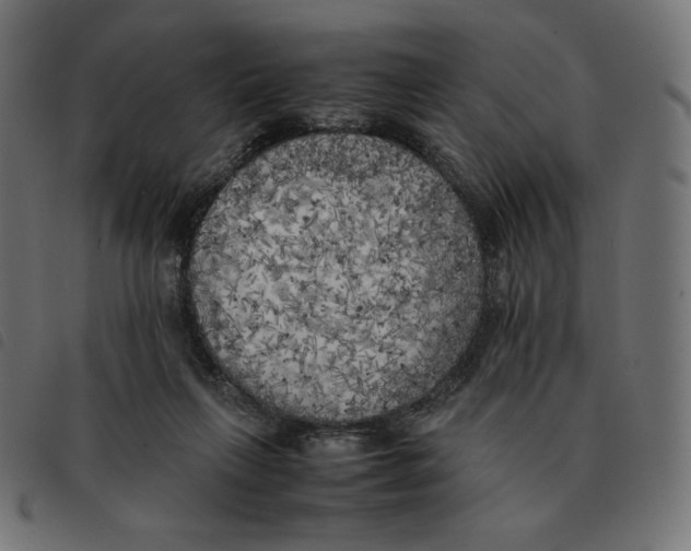 X0000092330263200710121540