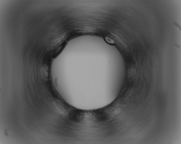 X0000092330264200710121540