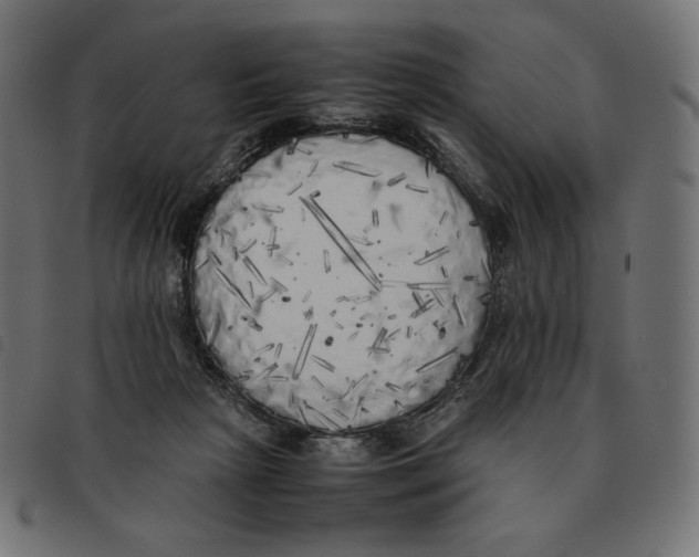 X0000092330265200710121540