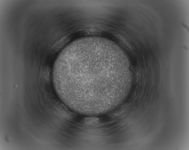 X0000092330266200710121540