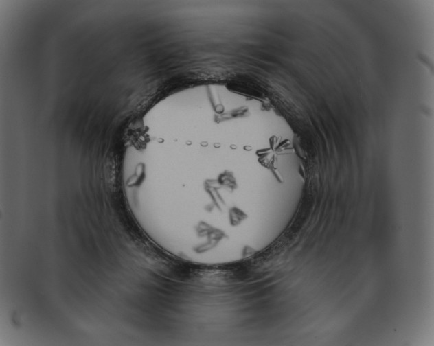 X0000092330268200710121540