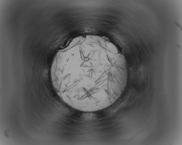 X0000092330269200710121540