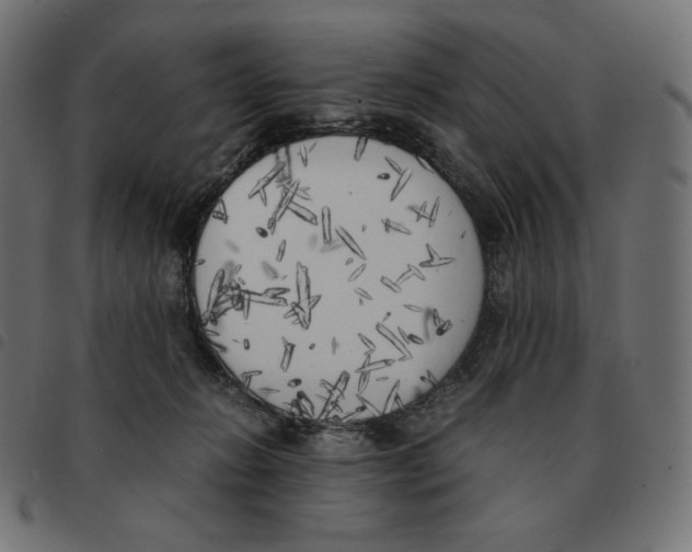 X0000092330270200710121540