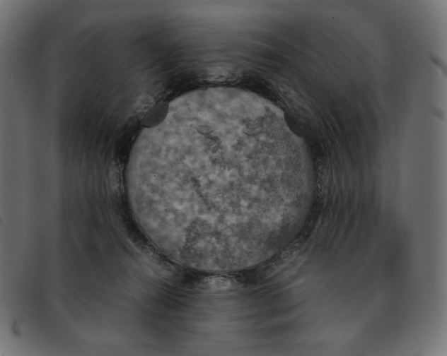 X0000092330272200710121540
