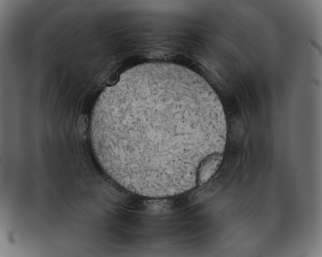 X0000092330273200710121540