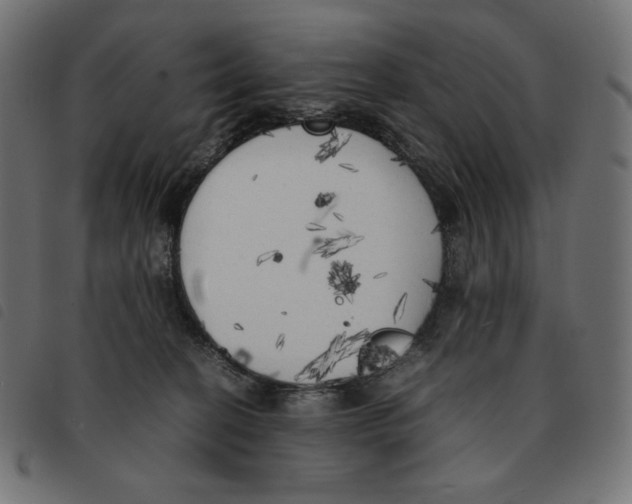 X0000092330274200710121540