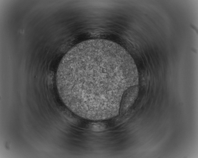X0000092330275200710121540