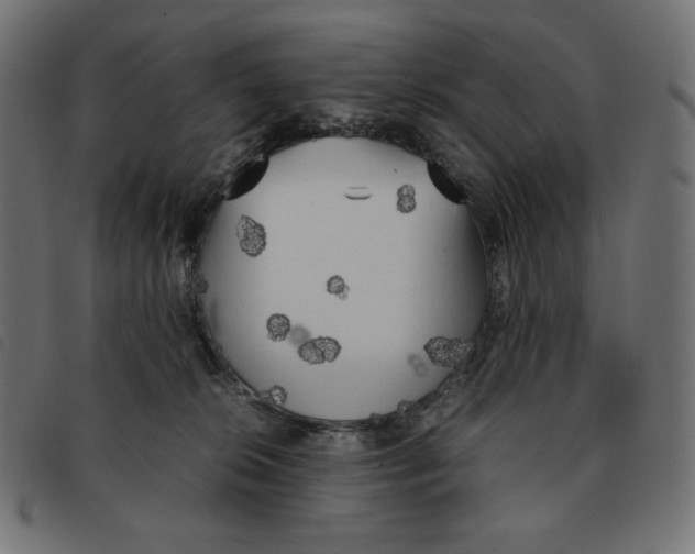 X0000092330276200710121540