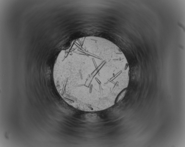 X0000092330279200710121540