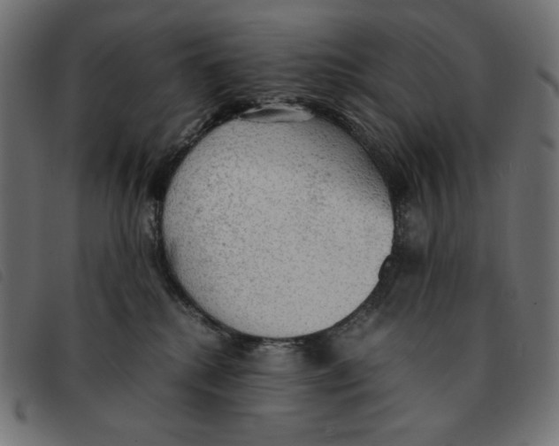 X0000092330280200710121540