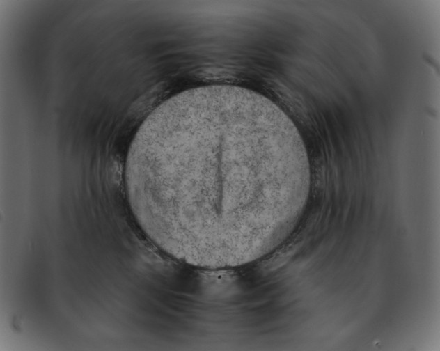 X0000092330281200710121540
