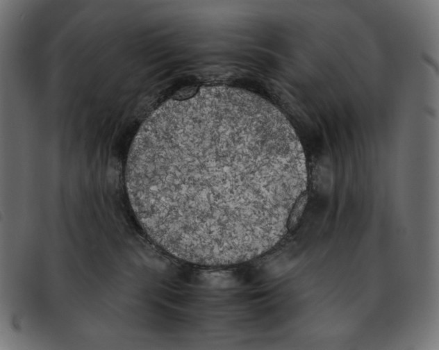 X0000092330283200710121540