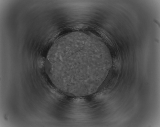 X0000092330284200710121540