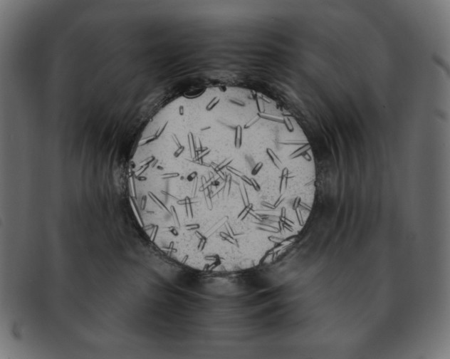 X0000092330285200710121540