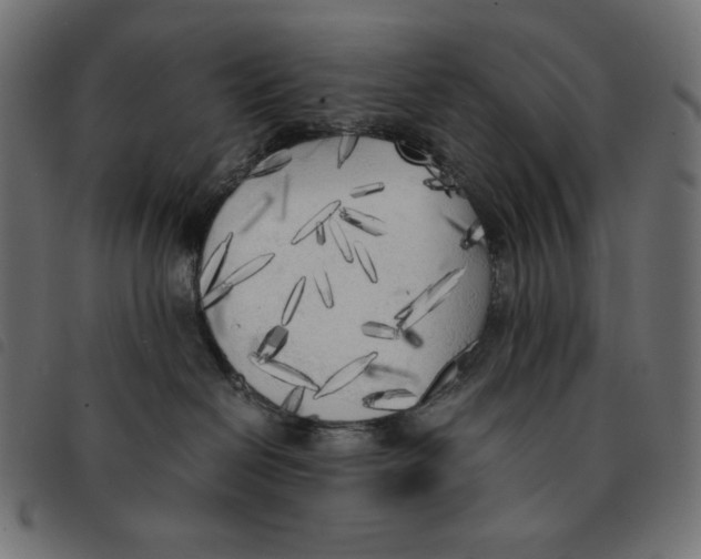 X0000092330286200710121540