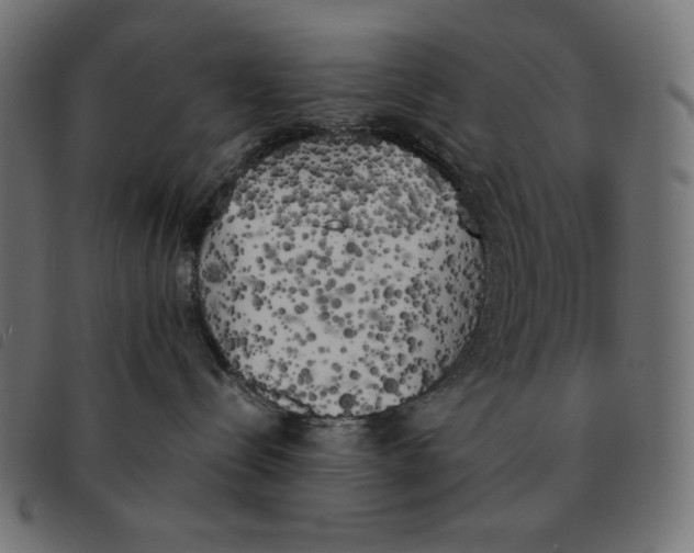 X0000092330288200710121540