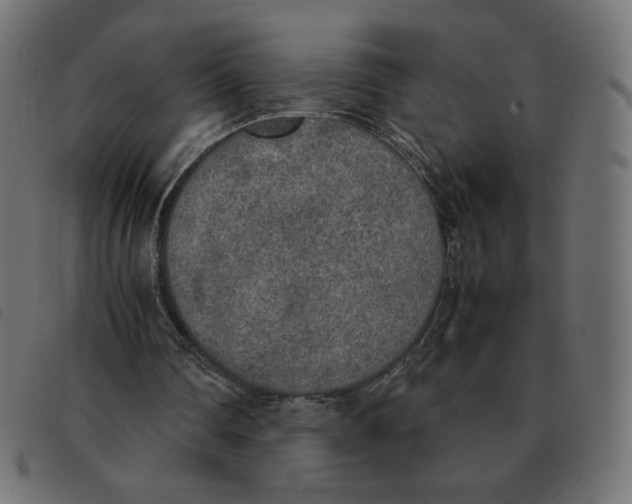 X0000092330290200710121540