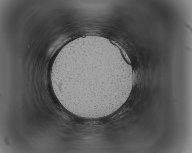 X0000092330291200710121540
